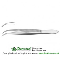 Splinter Forcep Curved - Serrated Jaws Stainless Steel, 12.5 cm - 5"